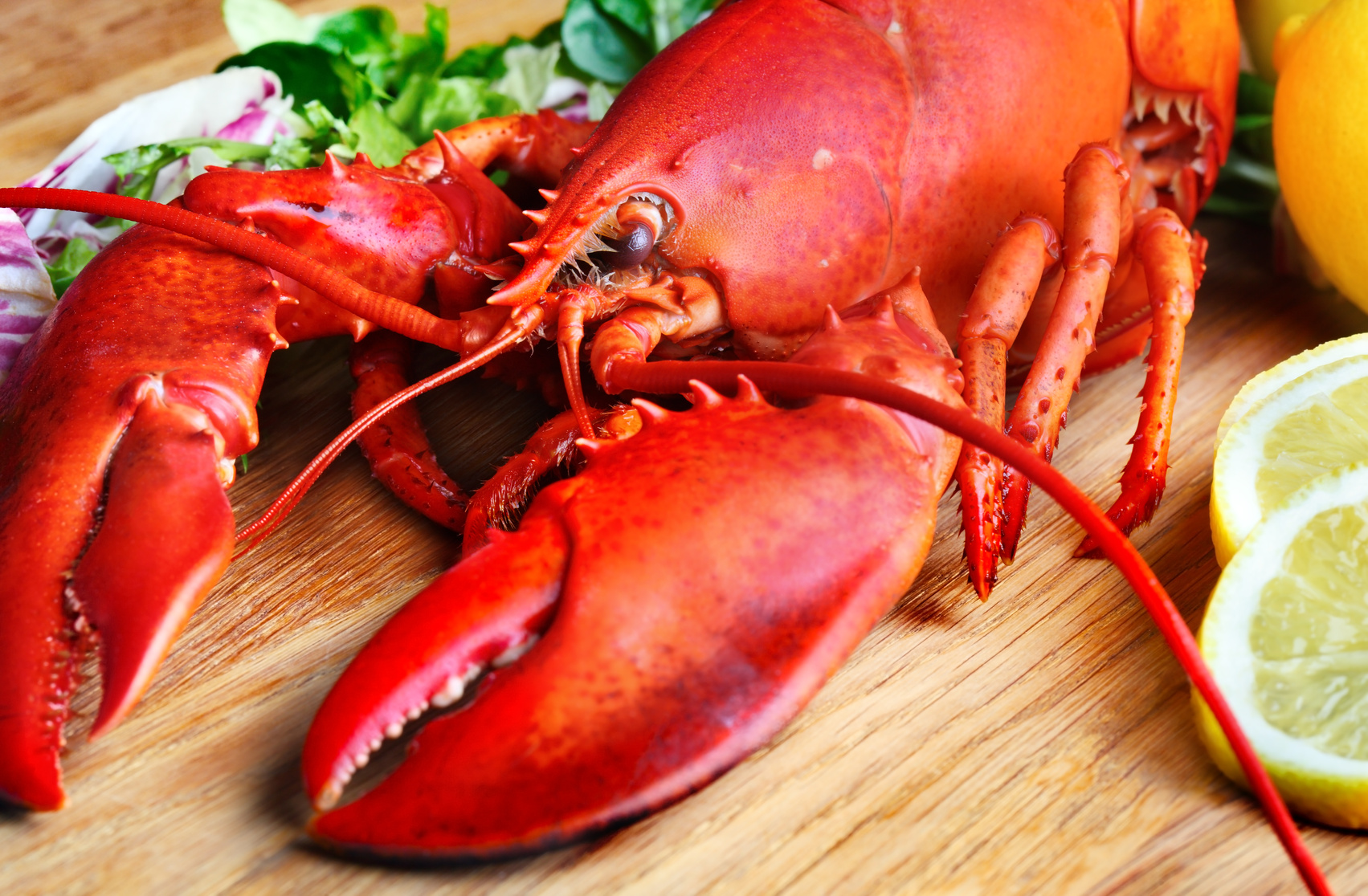 The effect of CETA hits US lobster exporters
