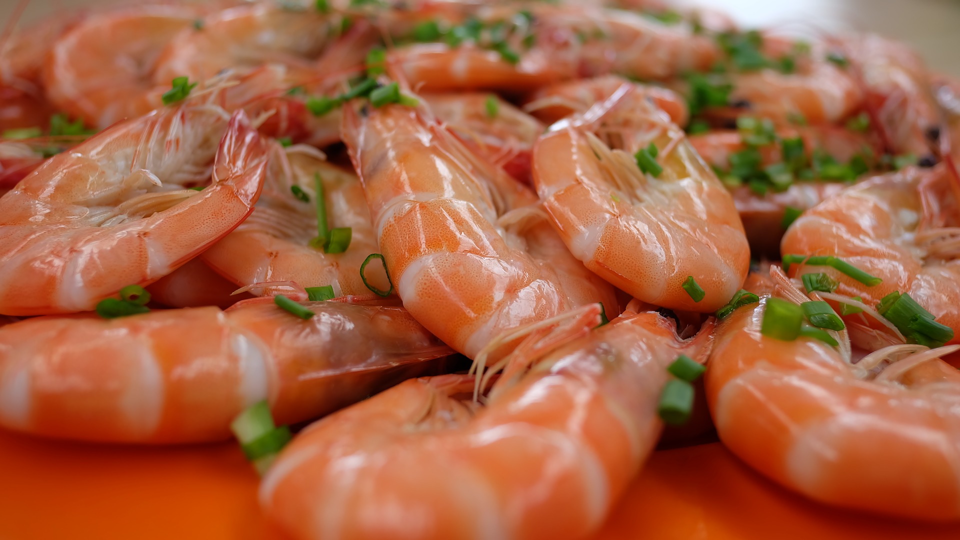 Strong imports in East Asia and the United States of America kept global shrimp trade firm